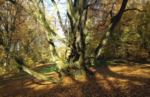 Schloss Langenzell, Fürstensuite - Foto 14