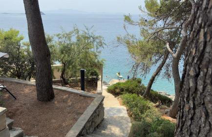 Apartments Bisko - Photo 63