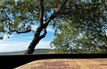 The Bungalow - Quinta da BellaVista - Foto 49