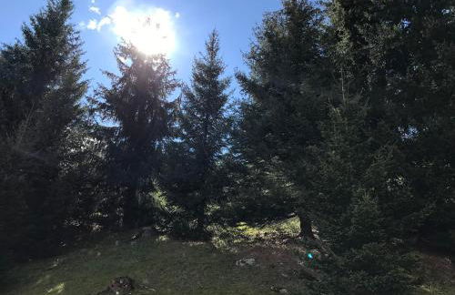 Casa Shabby - Comfortable family apartment near the slopes - Confortevole appartamento per famiglie vicino alle piste - Foto 56