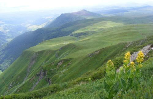 L'Esprit du Bois - Foto 23