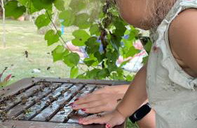 Vale das Rainhas - Photo 7