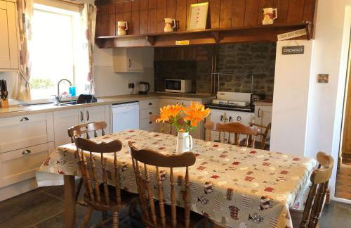 Brynonnen Llangrannog - Foto 10