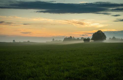 GREEN HOUSE - Foto 28