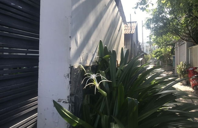 Dao Ngoc VT1 - Foto 12