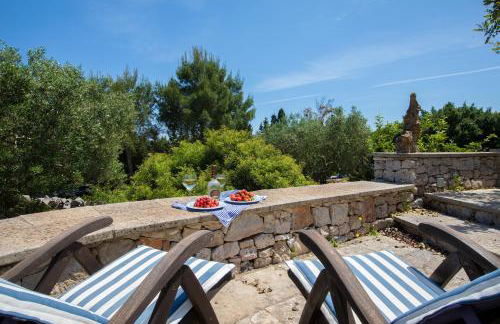 Pajara Rugiada - Foto 35