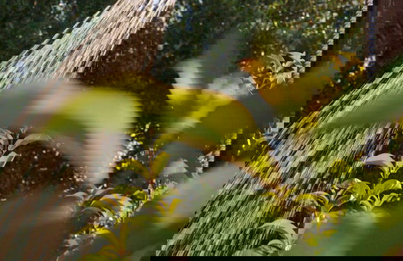 Il Viaggio Verde - Photo 20