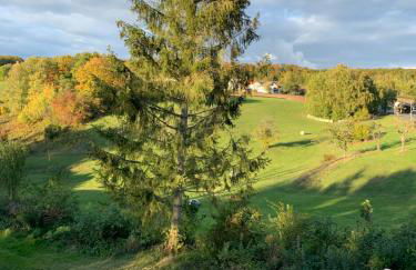 Forsthaus in Waldhessen - Foto 19