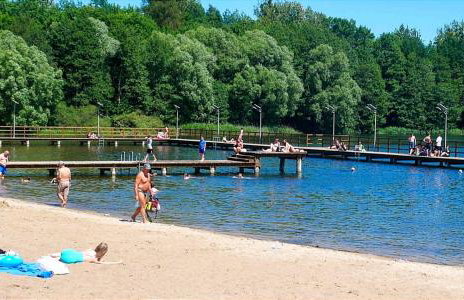 Świerkowisko cisza las plaża blisko - Foto 77