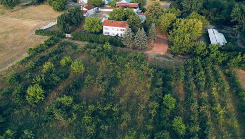 Privates Ferienhaus mit großem Garten - Photo 4