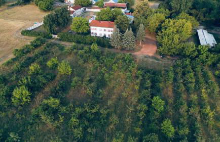 Privates Ferienhaus mit großem Garten - Foto 4