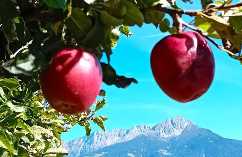 FeWo Passo-Palade - Foto 59