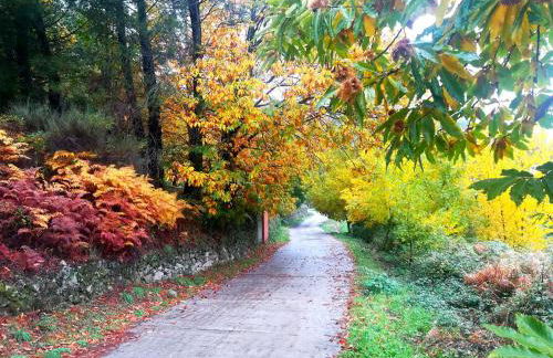 Asomadilla by #cherrygredos - Photo 27