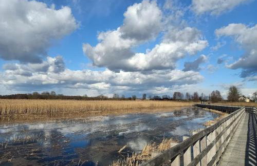 RoyalRelax Apartament w Lesie z Jacuzzi, Kinem domowym 88' - Białystok - Foto 60