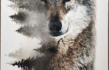 Le Terrier- Chaleureux avec Jardin privatif et parking pour 2 voitures - Foto 24