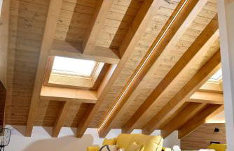 ELS 4 PICS - Foto 42