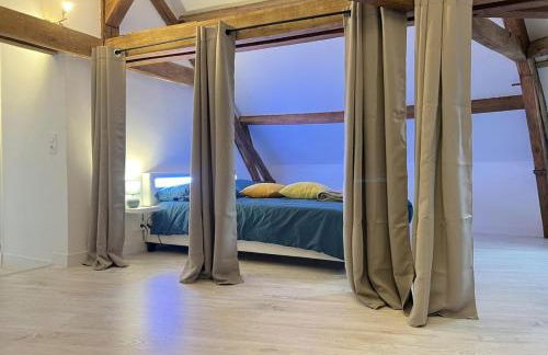 L armurerie - Appartement centre ville de Sens - Foto 9