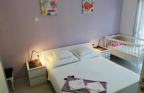 Apartments Krapinske Toplice Krtak Biba - Foto 40