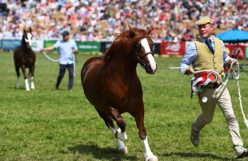 3 Bed in Llandrindod Wells oc-85926 - Foto 38