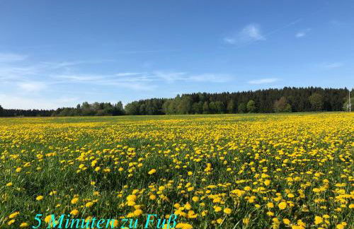 Enjoy Hiking - Foto 33