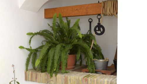 Casa Arbonaida - Foto 3