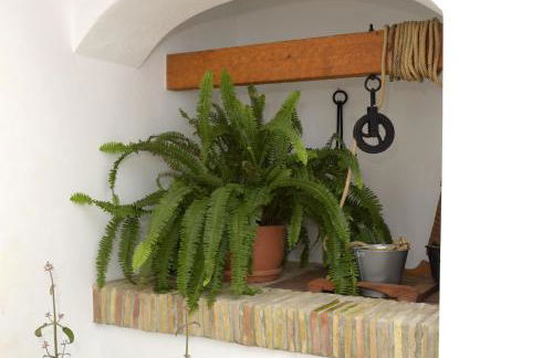 Casa Arbonaida - Foto 3