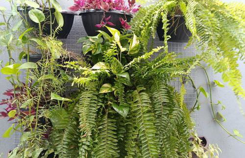 Quarto Marajó 1, próximo ao Aeroporto- cama Casal - Foto 42