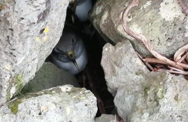 Vistalinda Farmhouse - Foto 23