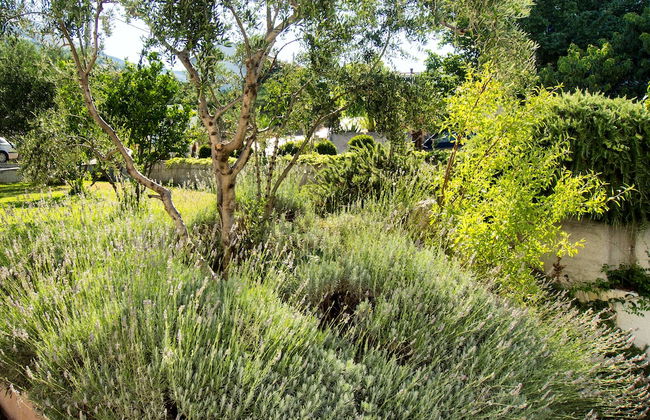 Villa Lavanda - Photo 55