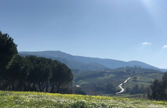 Terra Luso - Foto 34