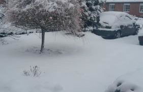 Lütt Verbliev - Foto 49