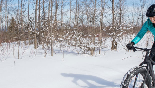 Excursão a uma mina de ametista de bicicleta elétrica