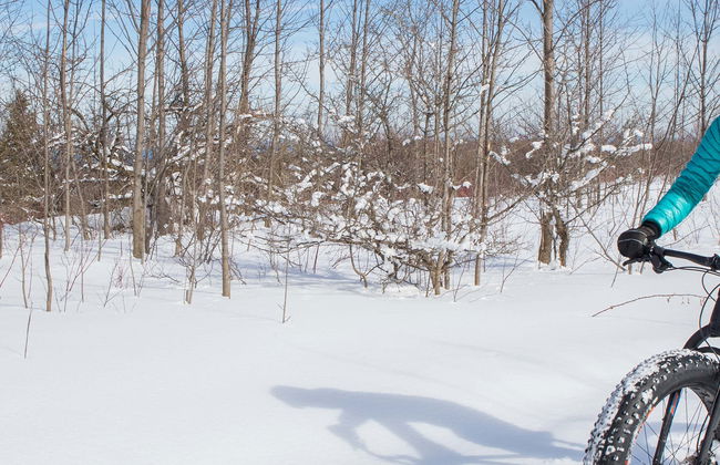 Excursión a una mina de amatista en bicicleta eléctrica - Foto 5