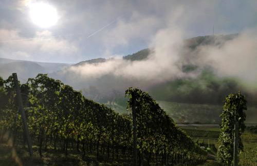 Ferienhaus Moritz - Foto 20