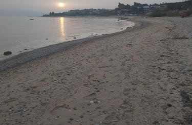 Ananias House - Foto 55