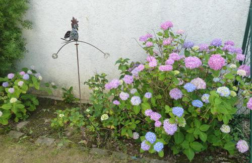 Garteneckchen - Foto 14