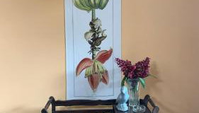 House with Jacuzzi near São Paulo - Foto 5