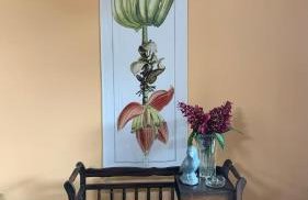 House with Jacuzzi near São Paulo - Photo 5