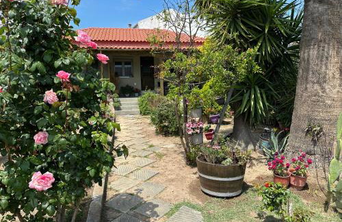 Λευκό γιασεμί - Νέες Παγασές Βόλος - Photo 18