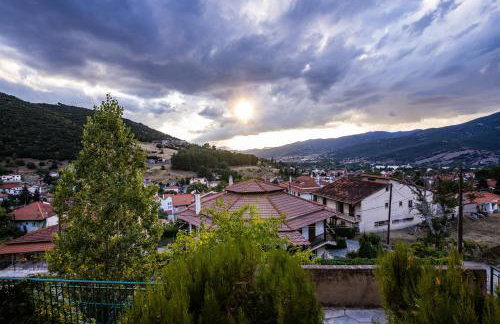 Strix Aluco Kalavryta - Foto 6