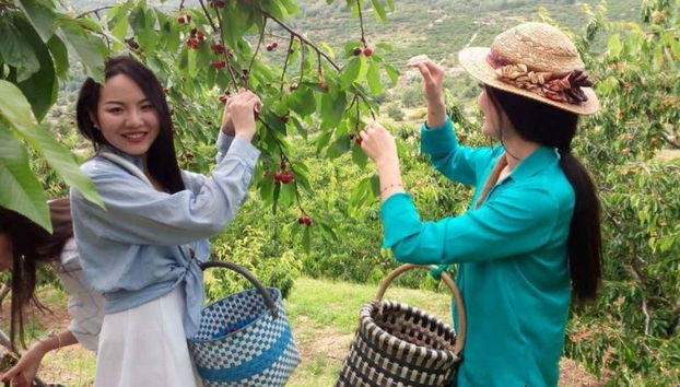 Tour in Jerte - Photo 2