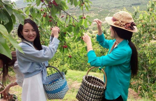 Balade en 4x4 dans la vallée du Jerte + Cueillette des cerises - Photo 2