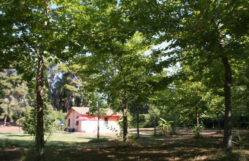 Terry Land Village - Foto 9