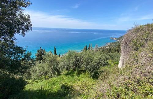 The Little Patio House - Foto 23