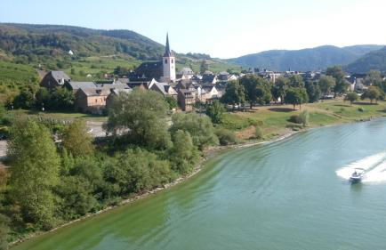 Ferienwohnungen Am Bruttiger Moselsteig - Foto 60