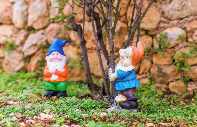 Miracle Apartments - Foto 59