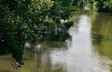 Apartment in Grevenbroich - Foto 17