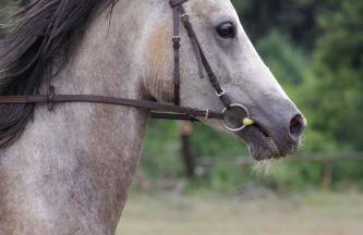 Mon Perin Castrum - Apartman Valentina - Photo 44