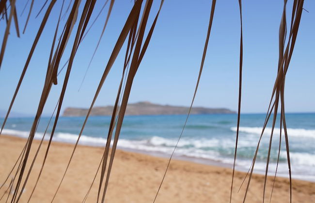 The Mini Beach Hotel - Foto 43