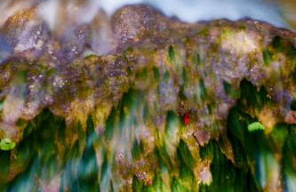 Apartamentos Fonda Finet - Foto 12